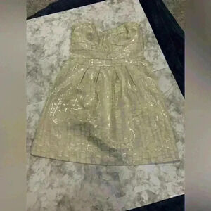 NWT American Eagle Strapless Ivory Silver Metallic Mini Dress Size 8